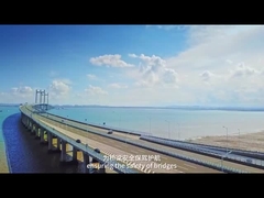 AC220V 50Hz Sistema di identificazione del peso in movimento IP68